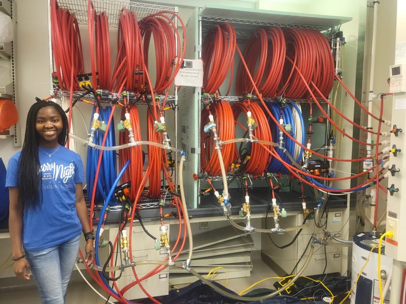 rig used to examine disinfectant decay and pathogen growth in building plumbing