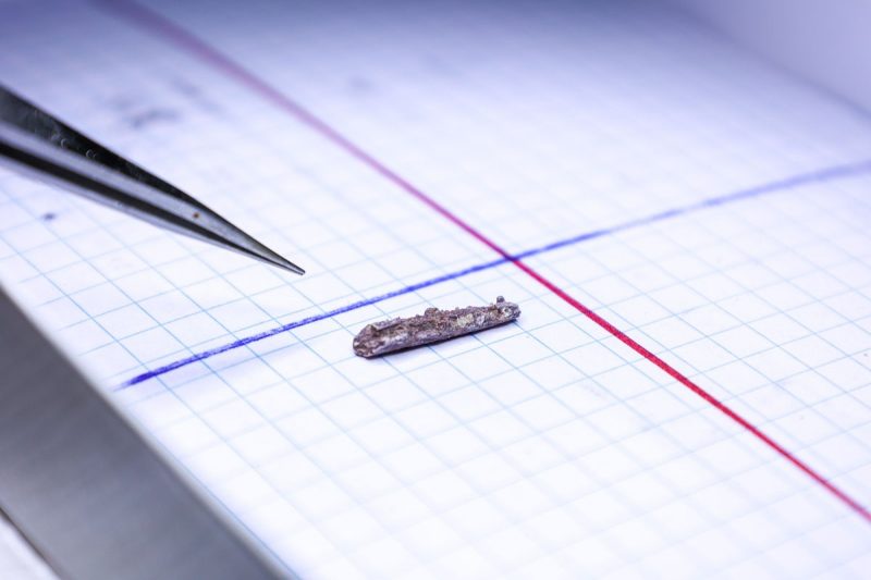 A fossilized jaw bone lies teeth up on graph paper under bright light.