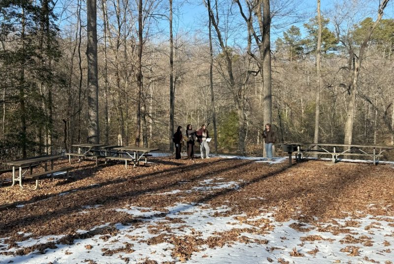 Completing On-site Review A group of four students stand in an open area covered with leaves amid several picnic tables, with woods in the background.