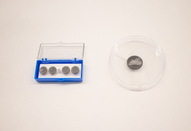 Lung tissue sample.