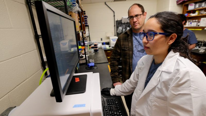 Researchers looking at data on computer