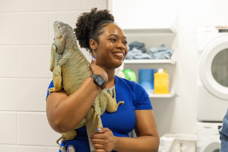 Echo the Iguana Jada Tolliver (at center) holding Echo the iguana (at center) at the Animal Cancer Care and Research Center