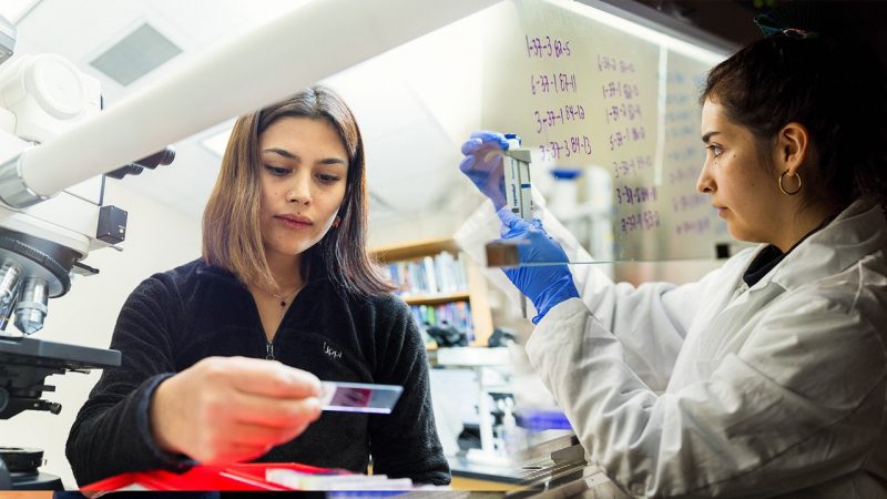 Exchange Montage Stefanie Guevara (at left) and Maria Francisca Valdes (at right) working the the laboratory.
