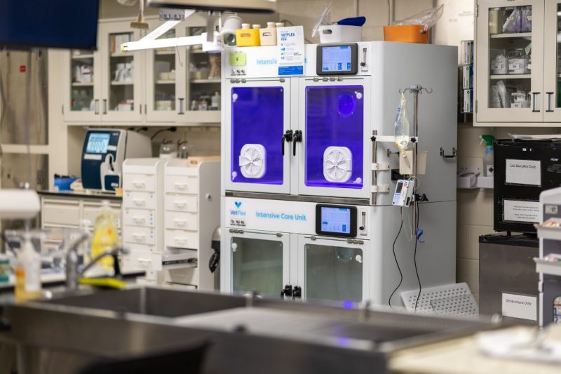 (At center) An oxygen unit in the ICU at the Veterinary Teaching Hospital