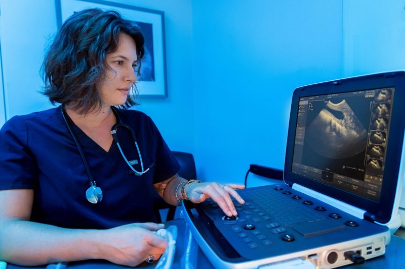 Ultrasound Demo (At left) Dr. Erin Phoenix using the portable ultrasound machine purchased for the Veterinary Teaching Hospital