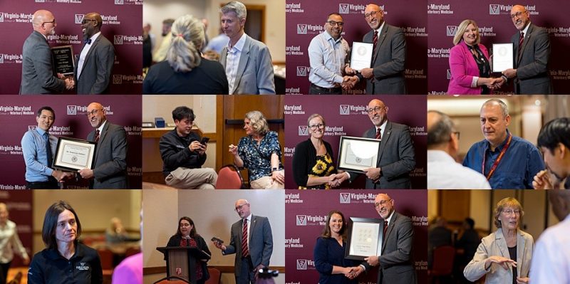 Faculty Awards 2025 Virginia-Maryland College of Veterinary Medicine's 2025 Faculty Awards Ceremony photo collage.