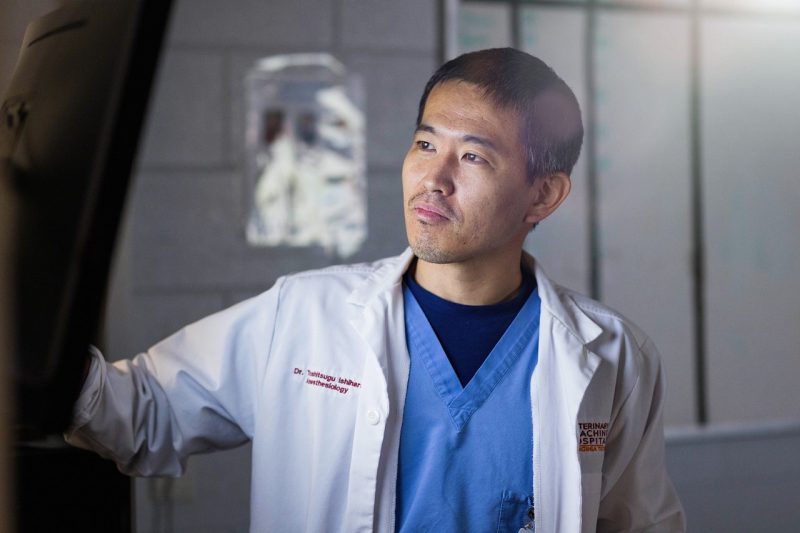 Faculty Awards Toshi Ishihara in a white lab coat looking at an anesthesia monitor screen