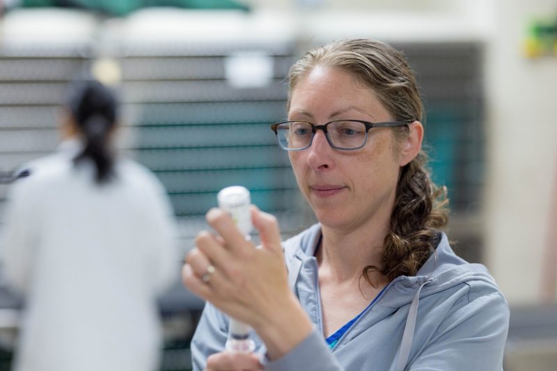 Robyn Fox Robyn Fox holding a syringe and medicine bottle in the Veterinary Teaching Hospital.