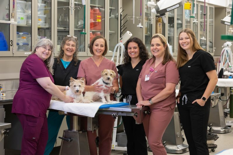 Evening of Gratitude (From left) Maureen Sroufe, Terry Wnorowski, Andrea Collins, Lauren Maghak, Lauren Scaletta, and Christa Clark in the Multidisciplinary Lab with two small terriers in front of them