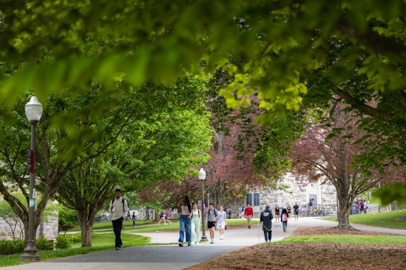 Students in spring Trees with green leaves create a canopy for students to walk beneath