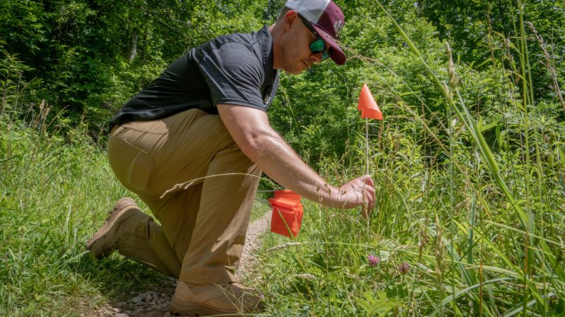 Virginia Tech Professor Jacob Barney conducts Invasive plants research in the field