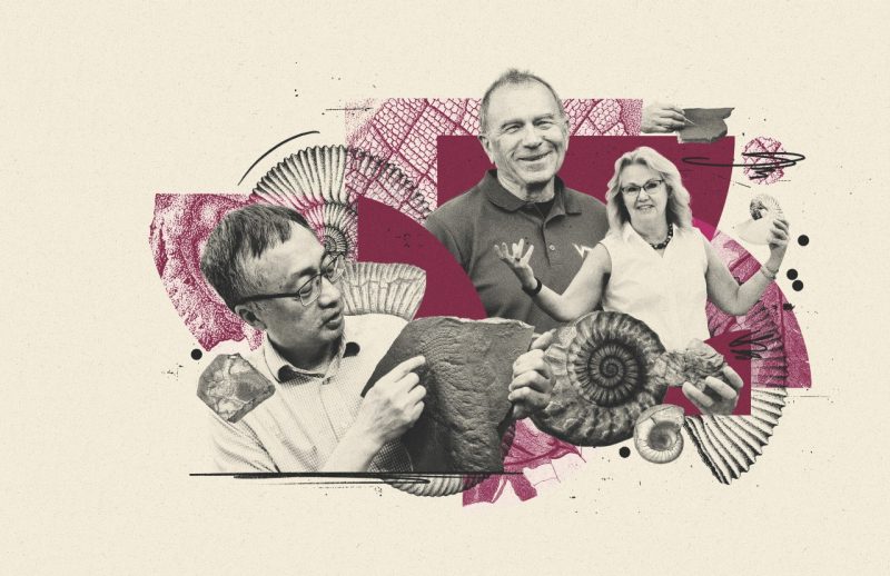 rock hall of fame photo illustration collage of 3 scientists and various fossils