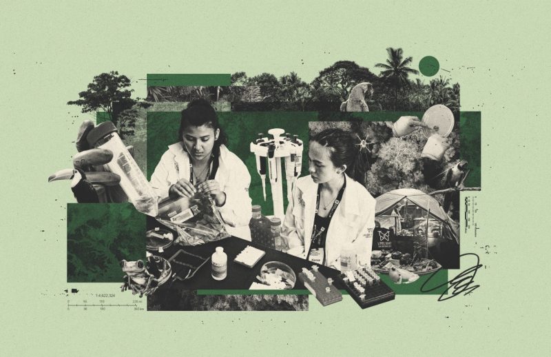 Xprize Rainforest 2024 photo montage of female scientists, rainforest and lab equipment