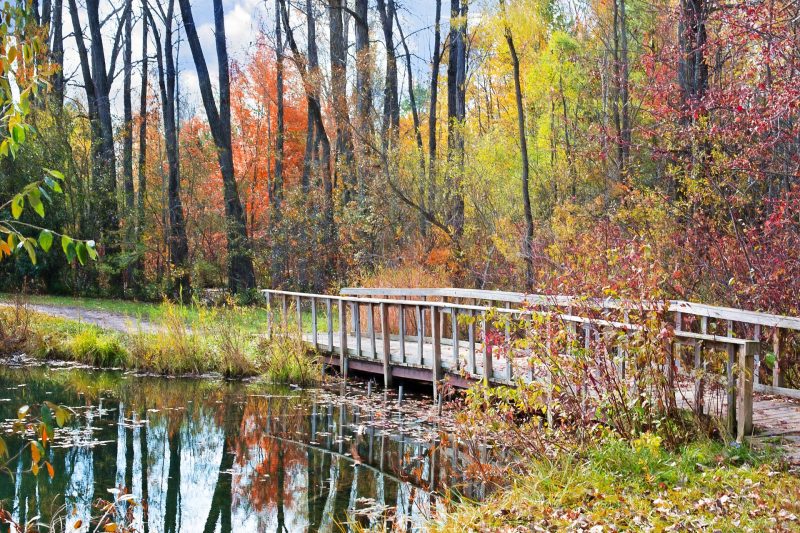 Photo of a wooden bridge in the fall.