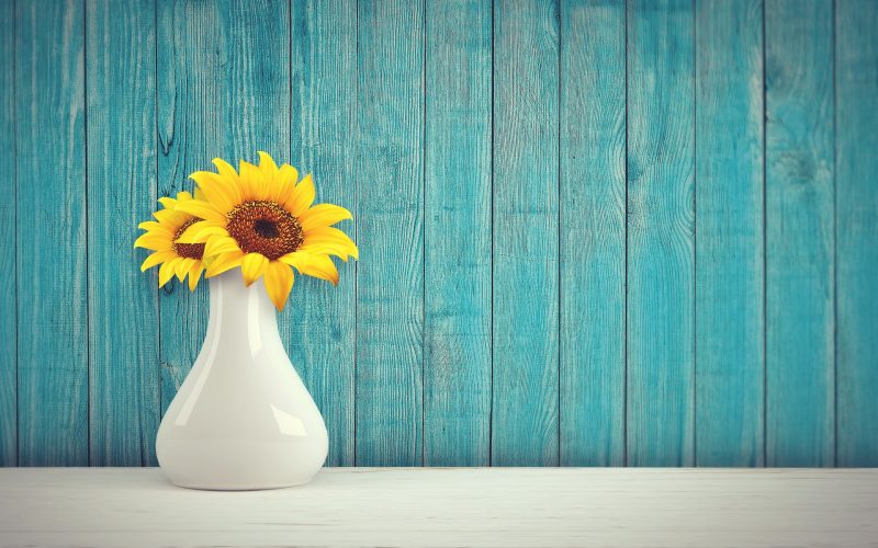 photo of sunfolowers ain a vase against a blue wall
