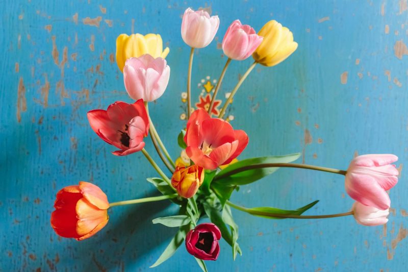 Photo of a bouquet of tulips