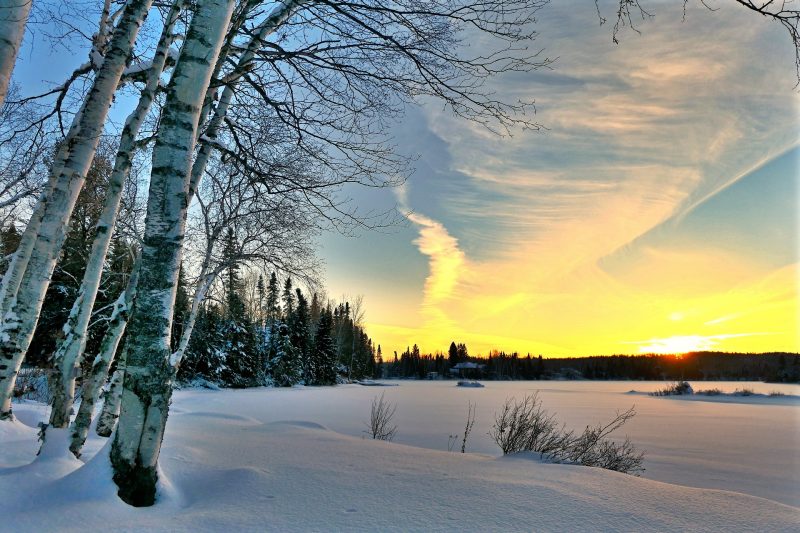 photo of a winter sunset with snow on the ground and birch trees