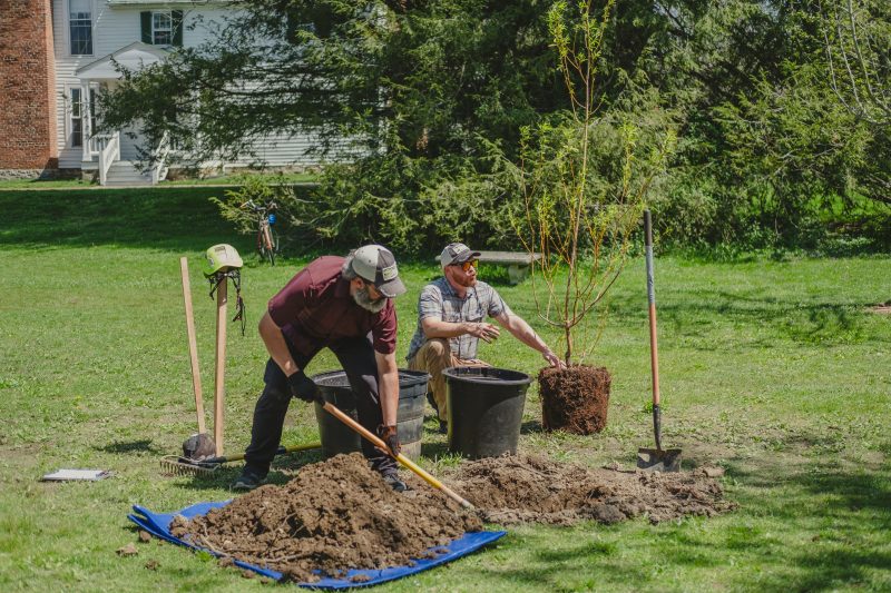 Two people wearing short sleeves, baseball hats, and pants plant a tree together outside. One is squatting near a small tree and talking into the distance. The other is using a shovel to dig a hole.