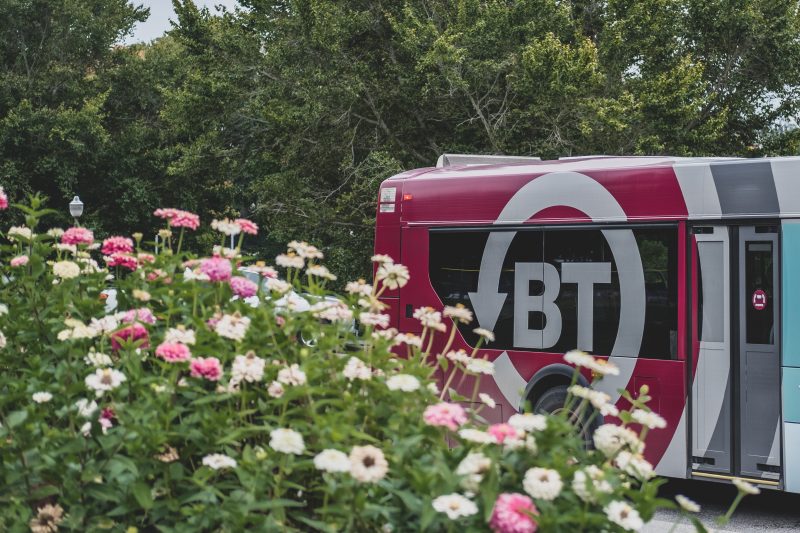 A flowering bush with a Blacksburg Transit bus in the background