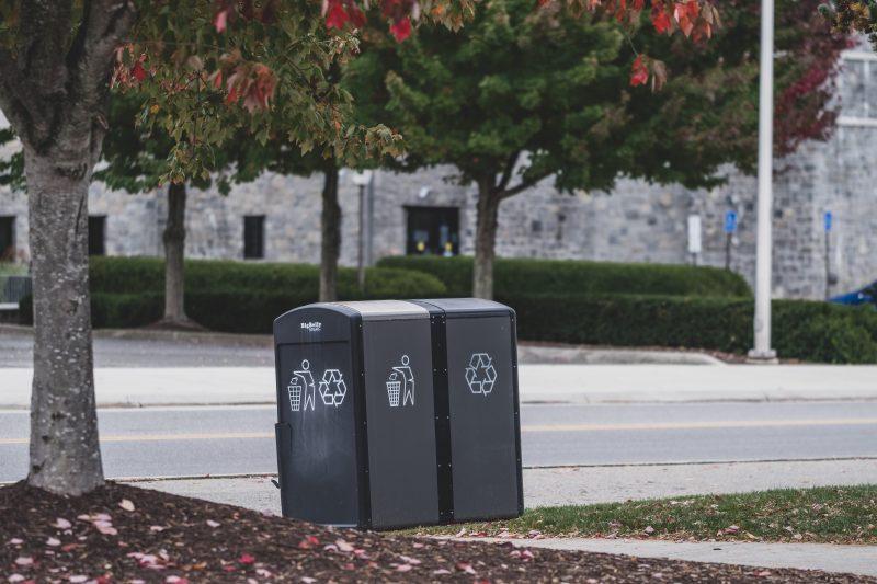 A trash bin and a recycling bin next to one another underneath an autumnal tree